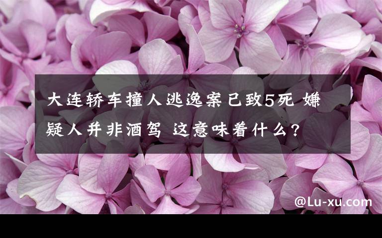 大连轿车撞人逃逸案已致5死 嫌疑人并非酒驾 这意味着什么?