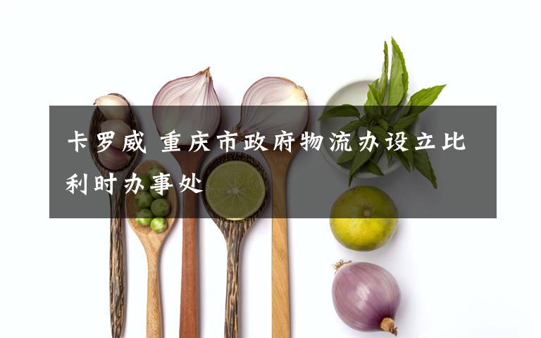 卡罗威 重庆市政府物流办设立比利时办事处