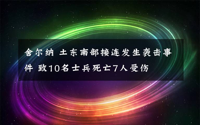 舍尔纳 土东南部接连发生袭击事件 致10名士兵死亡7人受伤