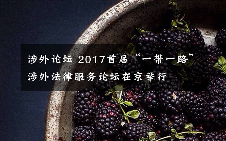 涉外论坛 2017首届“一带一路”涉外法律服务论坛在京举行