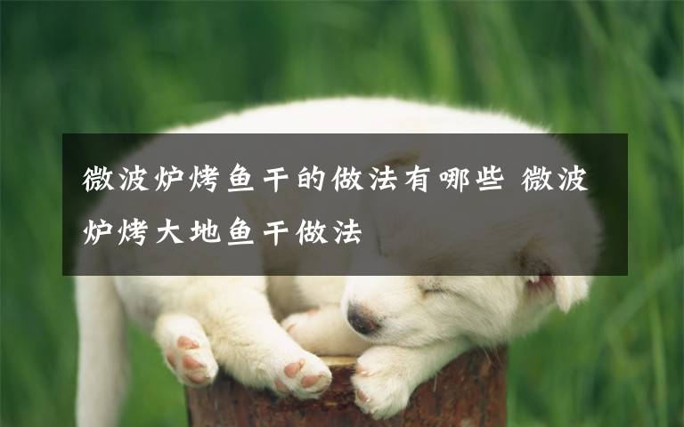 微波炉烤鱼干的做法有哪些 微波炉烤大地鱼干做法