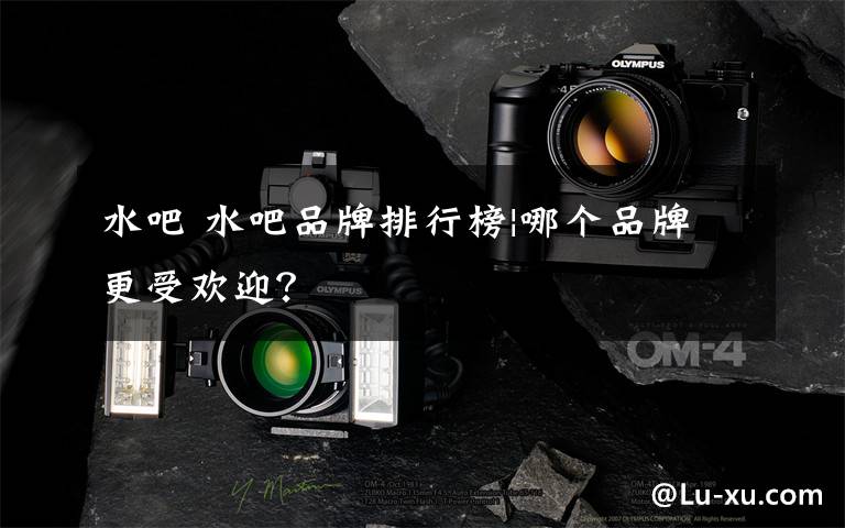 水吧 水吧品牌排行榜|哪个品牌更受欢迎？