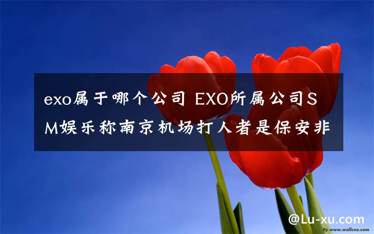 exo属于哪个公司 EXO所属公司SM娱乐称南京机场打人者是保安非经纪人