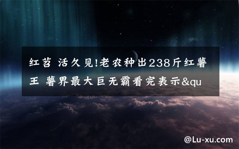 红苕 活久见!老农种出238斤红薯王 薯界最大巨无霸看完表示"已成精"