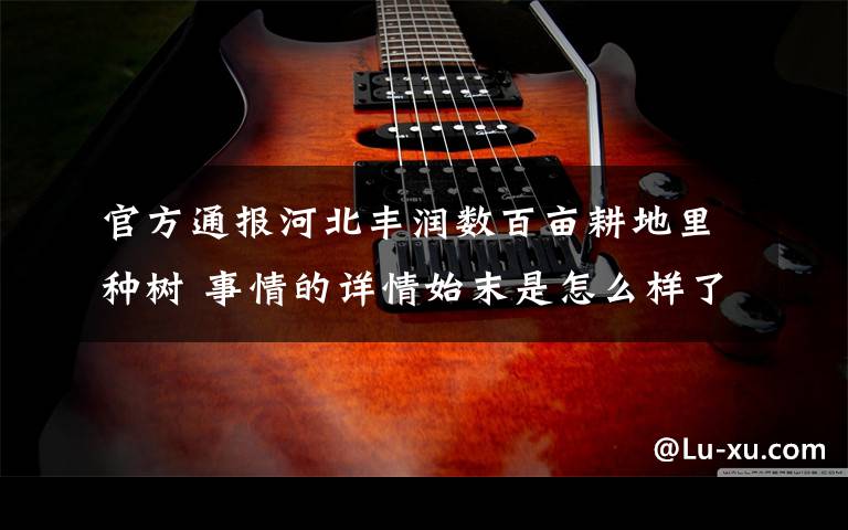 官方通报河北丰润数百亩耕地里种树 事情的详情始末是怎么样了！