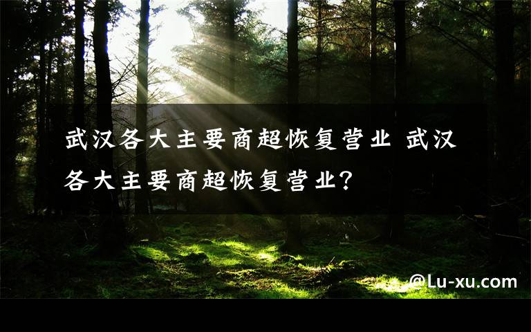 武汉各大主要商超恢复营业 武汉各大主要商超恢复营业？