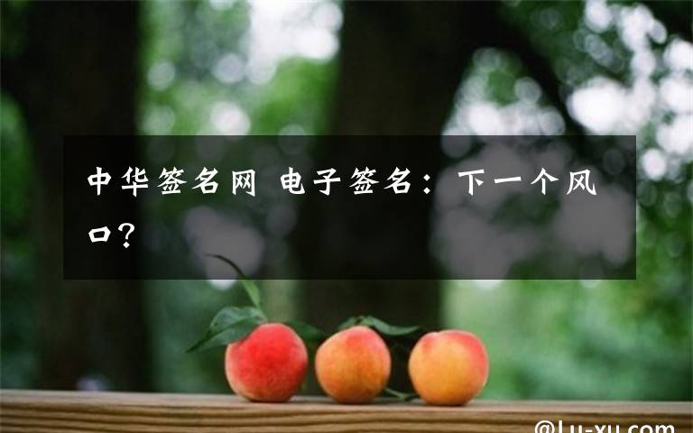 中华签名网 电子签名：下一个风口？