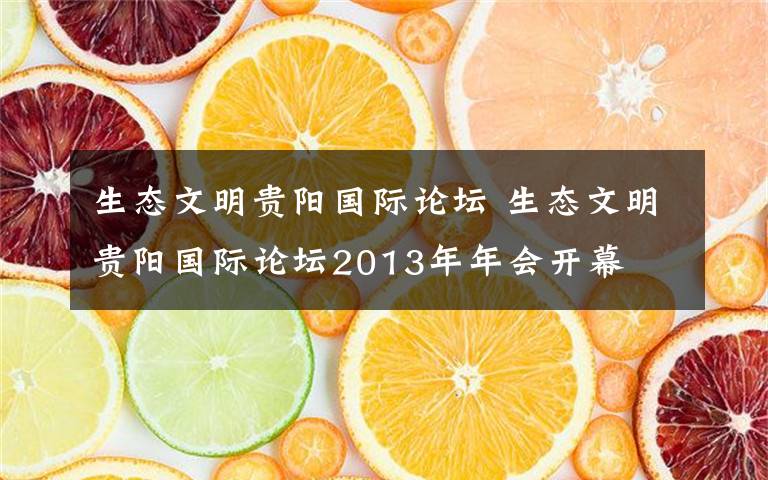 生态文明贵阳国际论坛 生态文明贵阳国际论坛2013年年会开幕