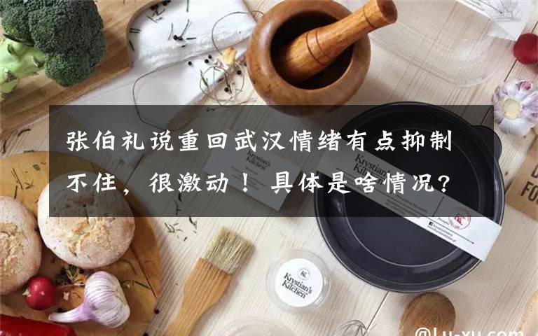 张伯礼说重回武汉情绪有点抑制不住，很激动！ 具体是啥情况?