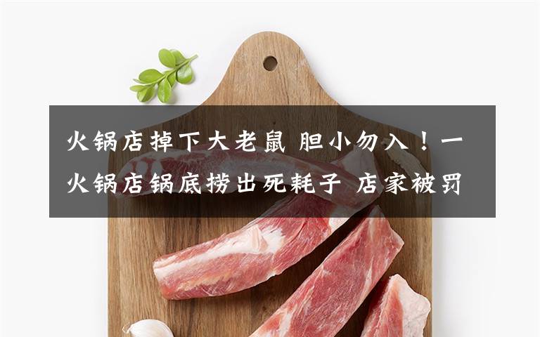 火锅店掉下大老鼠 胆小勿入！一火锅店锅底捞出死耗子 店家被罚款4万元