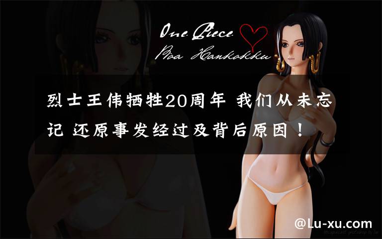 烈士王伟牺牲20周年 我们从未忘记 还原事发经过及背后原因！