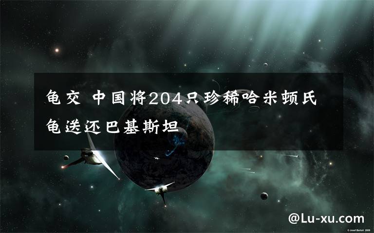 龟交 中国将204只珍稀哈米顿氏龟送还巴基斯坦