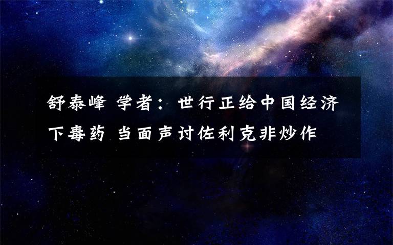 舒泰峰 学者：世行正给中国经济下毒药 当面声讨佐利克非炒作