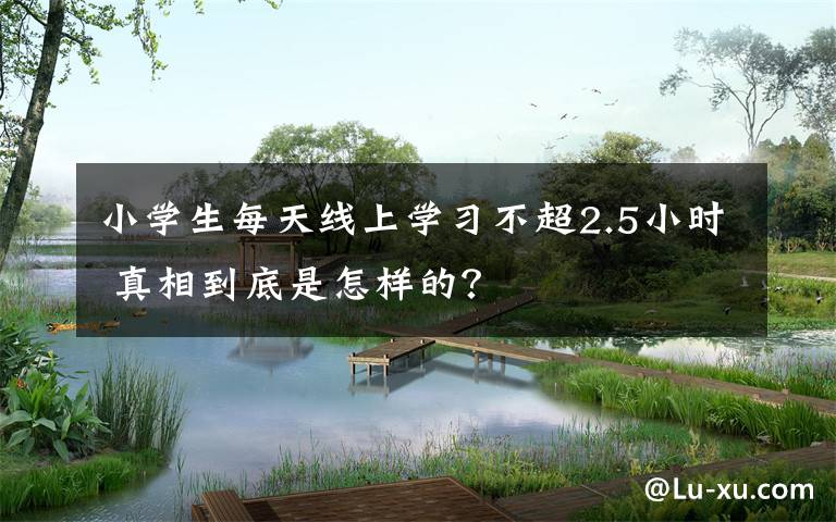 小学生每天线上学习不超2.5小时 真相到底是怎样的？