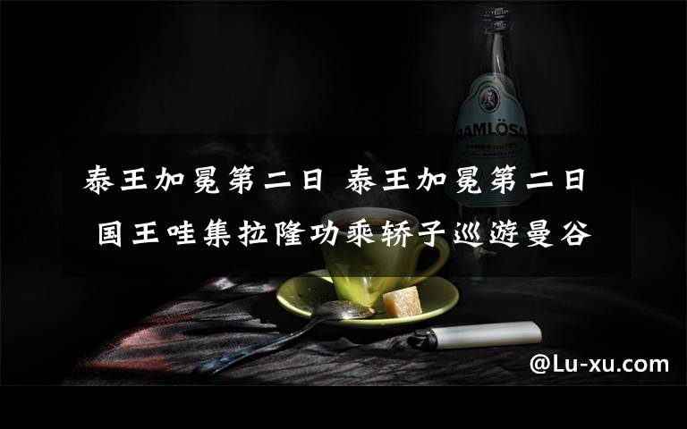 泰王加冕第二日 泰王加冕第二日 国王哇集拉隆功乘轿子巡游曼谷受民众朝拜