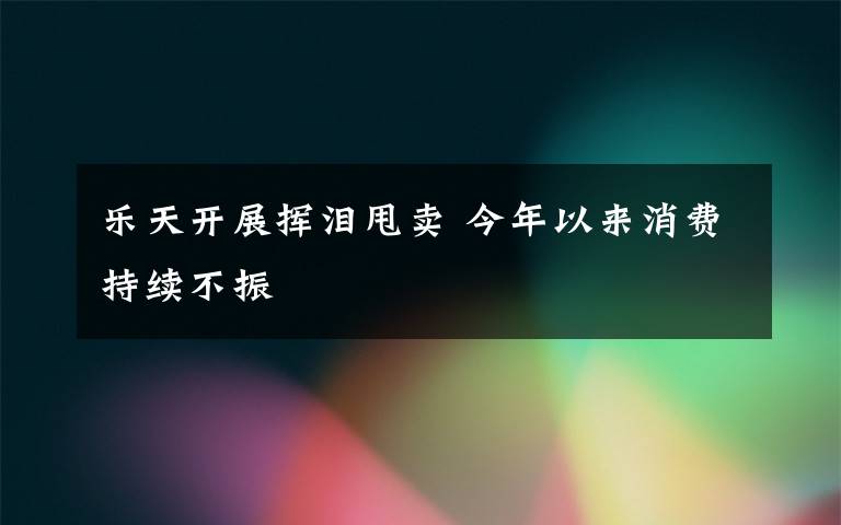 乐天开展挥泪甩卖 今年以来消费持续不振