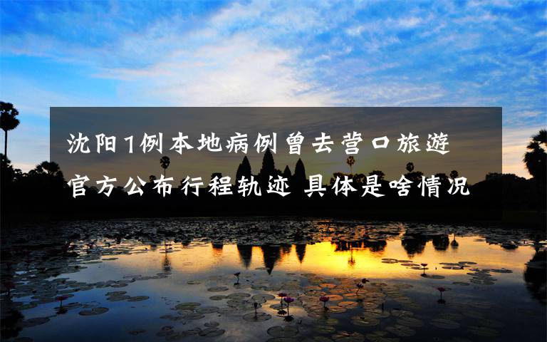 沈阳1例本地病例曾去营口旅游 官方公布行程轨迹 具体是啥情况?