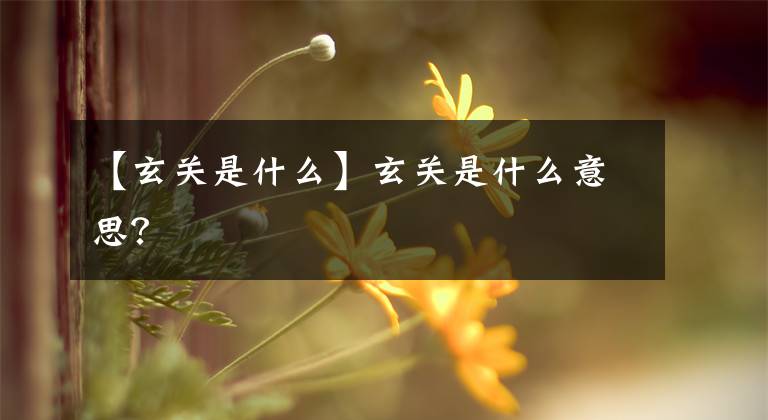 【玄关是什么】玄关是什么意思？