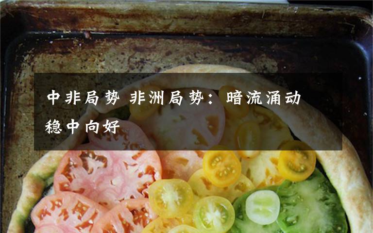 中非局势 非洲局势：暗流涌动 稳中向好