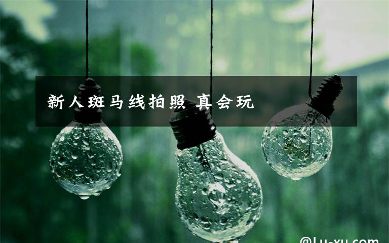 新人斑马线拍照 真会玩