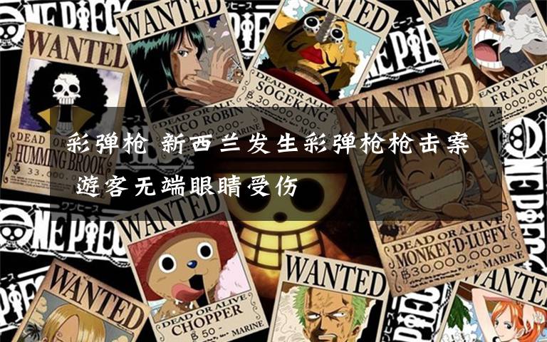 彩弹枪 新西兰发生彩弹枪枪击案 游客无端眼睛受伤