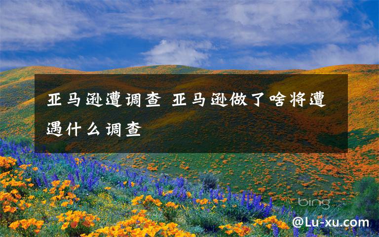 亚马逊遭调查 亚马逊做了啥将遭遇什么调查