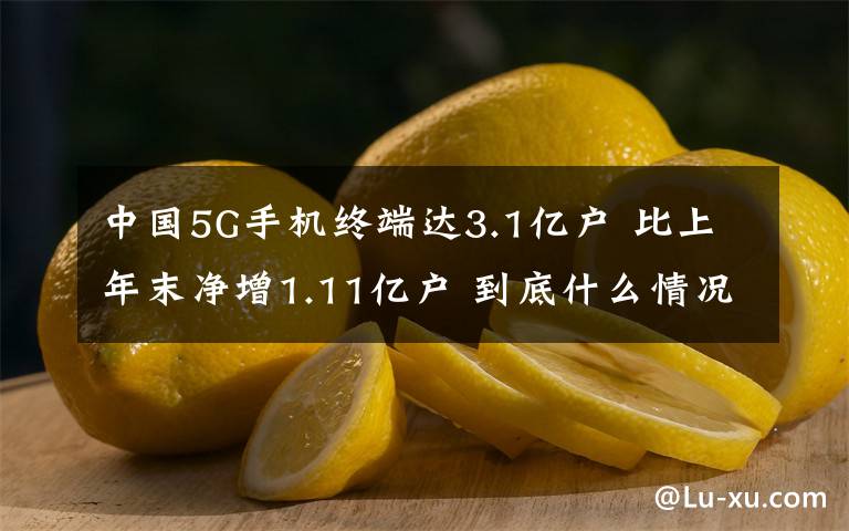 中国5G手机终端达3.1亿户 比上年末净增1.11亿户 到底什么情况呢？