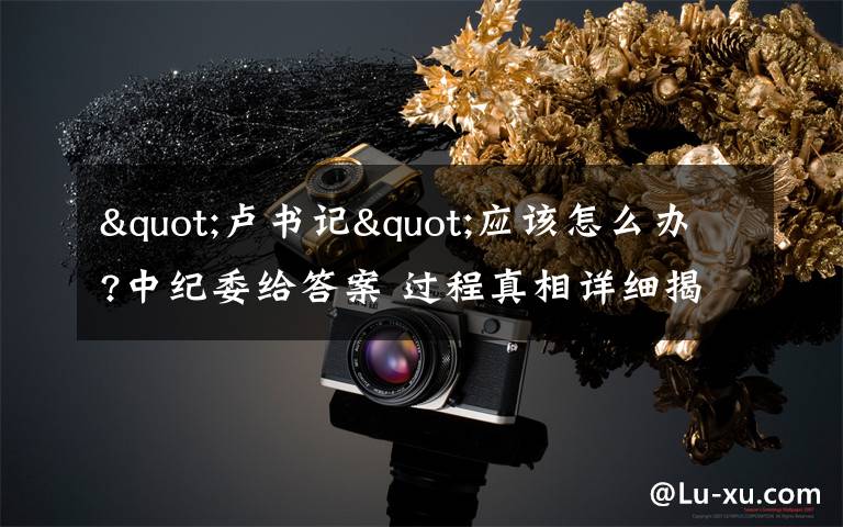 "卢书记"应该怎么办?中纪委给答案 过程真相详细揭秘！