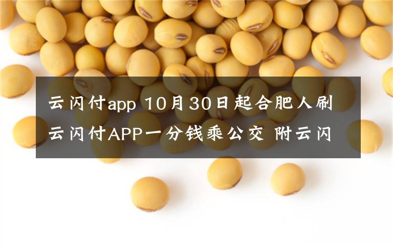 云闪付app 10月30日起合肥人刷云闪付APP一分钱乘公交 附云闪付APP扫码流程