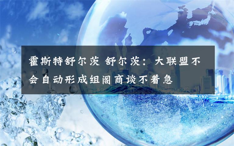 霍斯特舒尔茨 舒尔茨：大联盟不会自动形成组阁商谈不着急