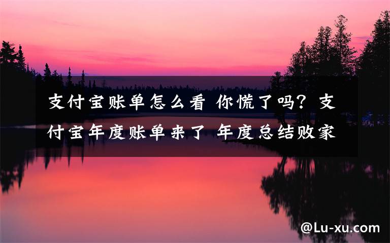 支付宝账单怎么看 你慌了吗？支付宝年度账单来了 年度总结败家史具体怎么查看呢?