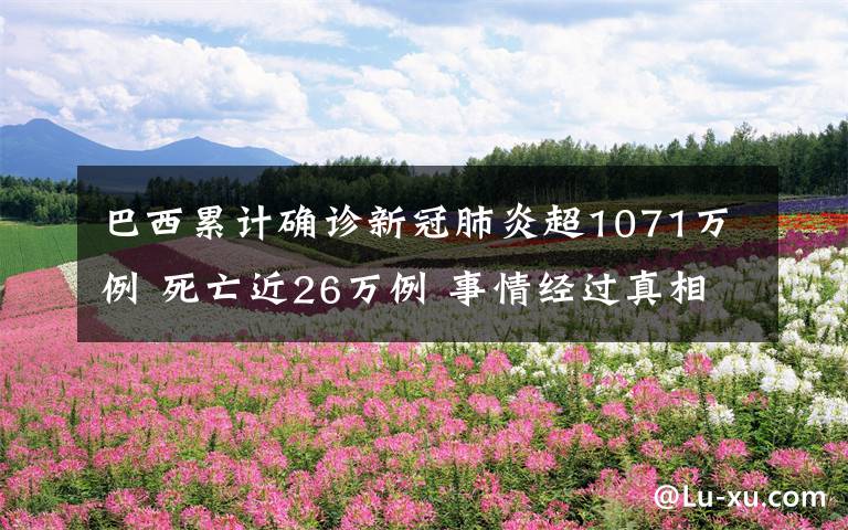 巴西累计确诊新冠肺炎超1071万例 死亡近26万例 事情经过真相揭秘！