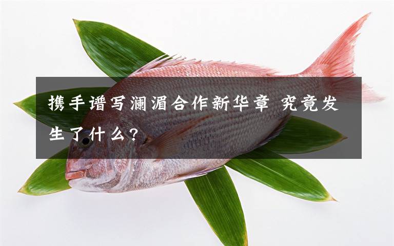 携手谱写澜湄合作新华章 究竟发生了什么?