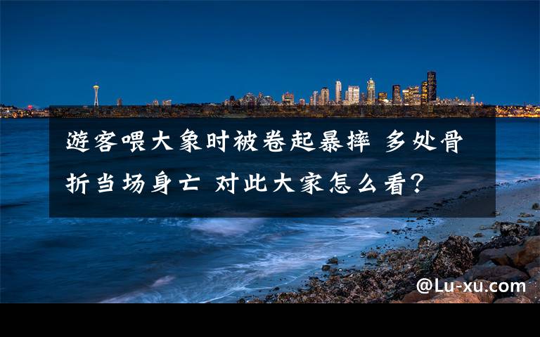 游客喂大象时被卷起暴摔 多处骨折当场身亡 对此大家怎么看？