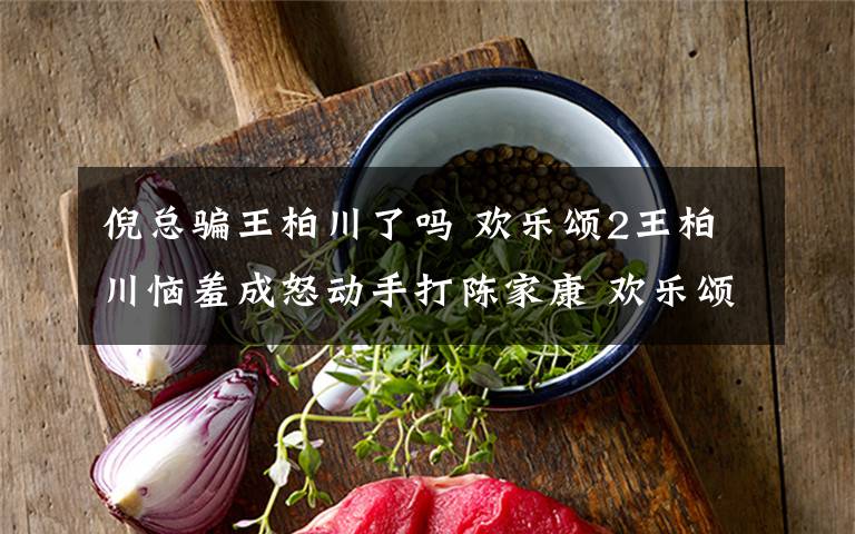 倪总骗王柏川了吗 欢乐颂2王柏川恼羞成怒动手打陈家康 欢乐颂2结局陈家康追到樊胜美了吗