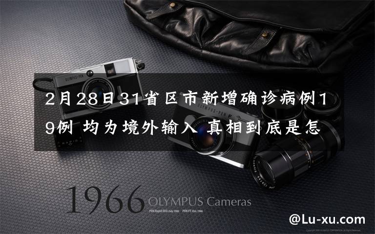 2月28日31省区市新增确诊病例19例 均为境外输入 真相到底是怎样的？