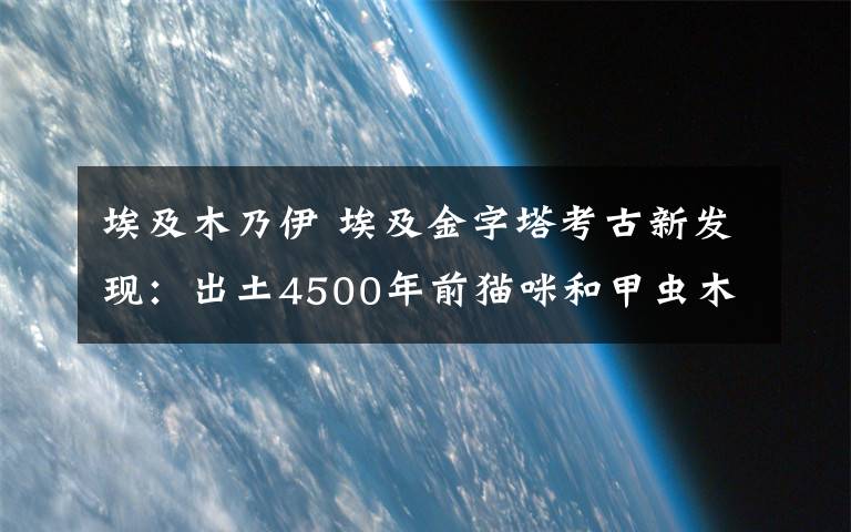 埃及木乃伊 埃及金字塔考古新发现：出土4500年前猫咪和甲虫木乃伊