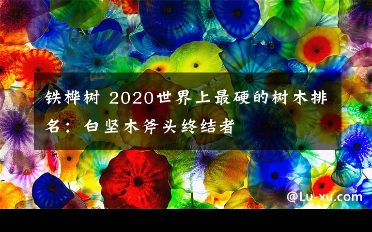 铁桦树 2020世界上最硬的树木排名：白坚木斧头终结者