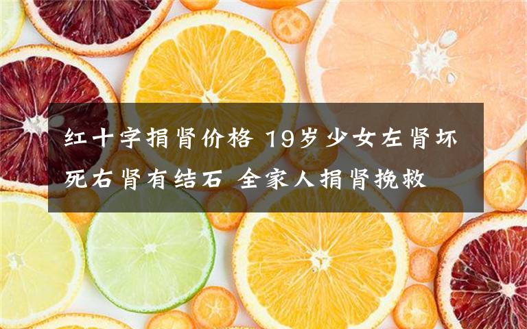 红十字捐肾价格 19岁少女左肾坏死右肾有结石 全家人捐肾挽救