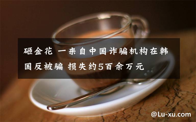 砸金花 一来自中国诈骗机构在韩国反被骗 损失约5百余万元