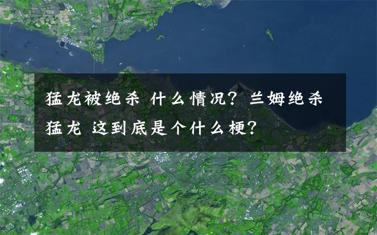 猛龙被绝杀 什么情况？兰姆绝杀猛龙 这到底是个什么梗？