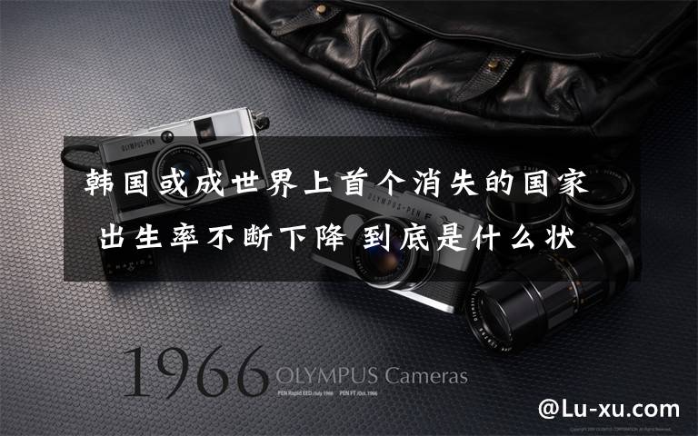 韩国或成世界上首个消失的国家 出生率不断下降 到底是什么状况？