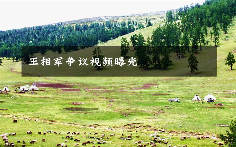 王相军争议视频曝光