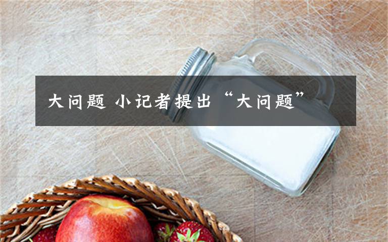 大问题 小记者提出“大问题”