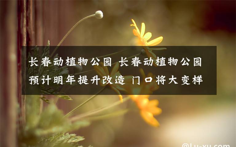 长春动植物公园 长春动植物公园预计明年提升改造 门口将大变样！