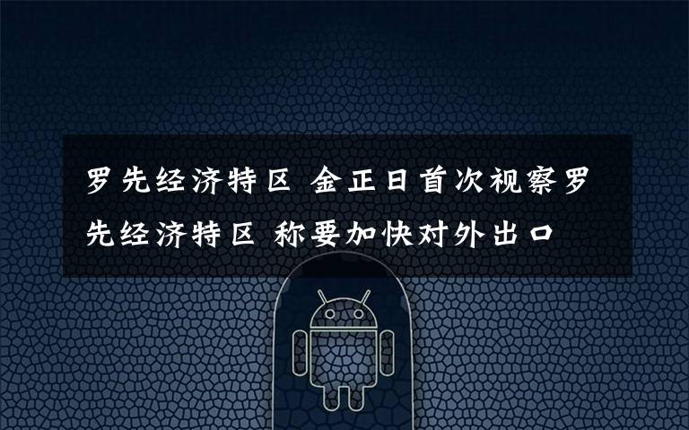 罗先经济特区 金正日首次视察罗先经济特区 称要加快对外出口