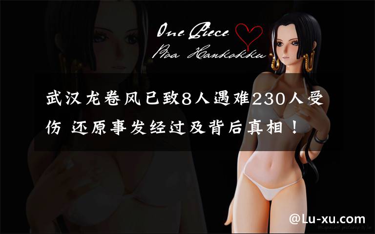 武汉龙卷风已致8人遇难230人受伤 还原事发经过及背后真相！