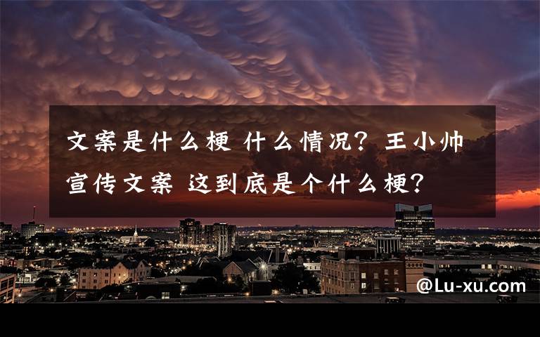 文案是什么梗 什么情况？王小帅宣传文案 这到底是个什么梗？