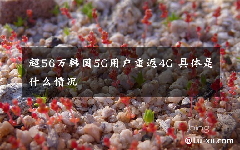 超56万韩国5G用户重返4G 具体是什么情况
