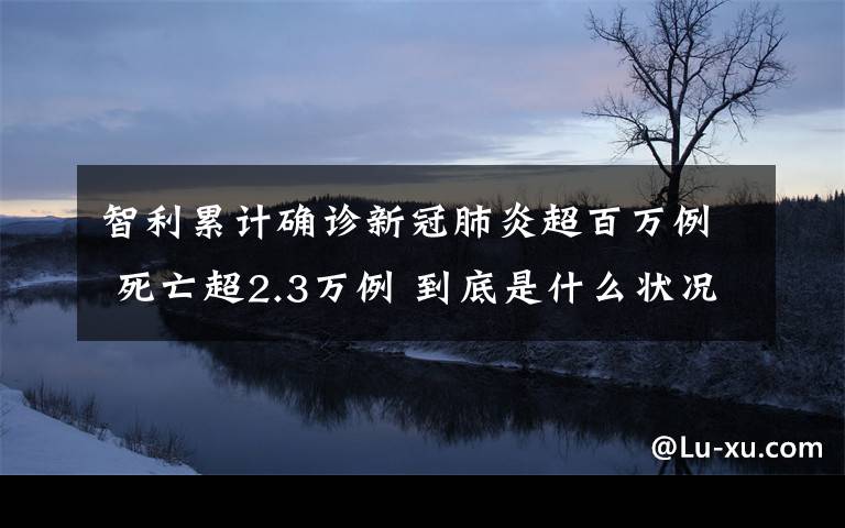 智利累计确诊新冠肺炎超百万例 死亡超2.3万例 到底是什么状况？